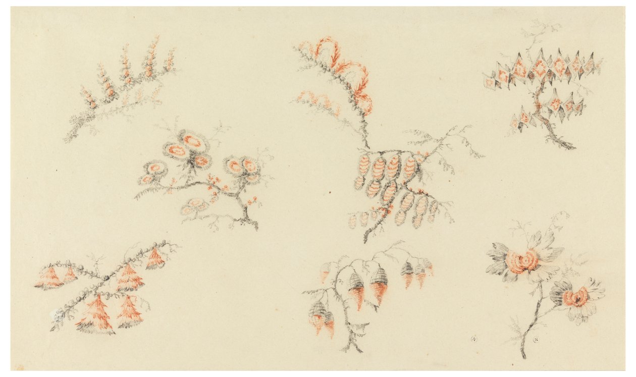 Pulverizações de sete flores ideais e de uma flor quase naturalista de Jean Baptiste Pillement