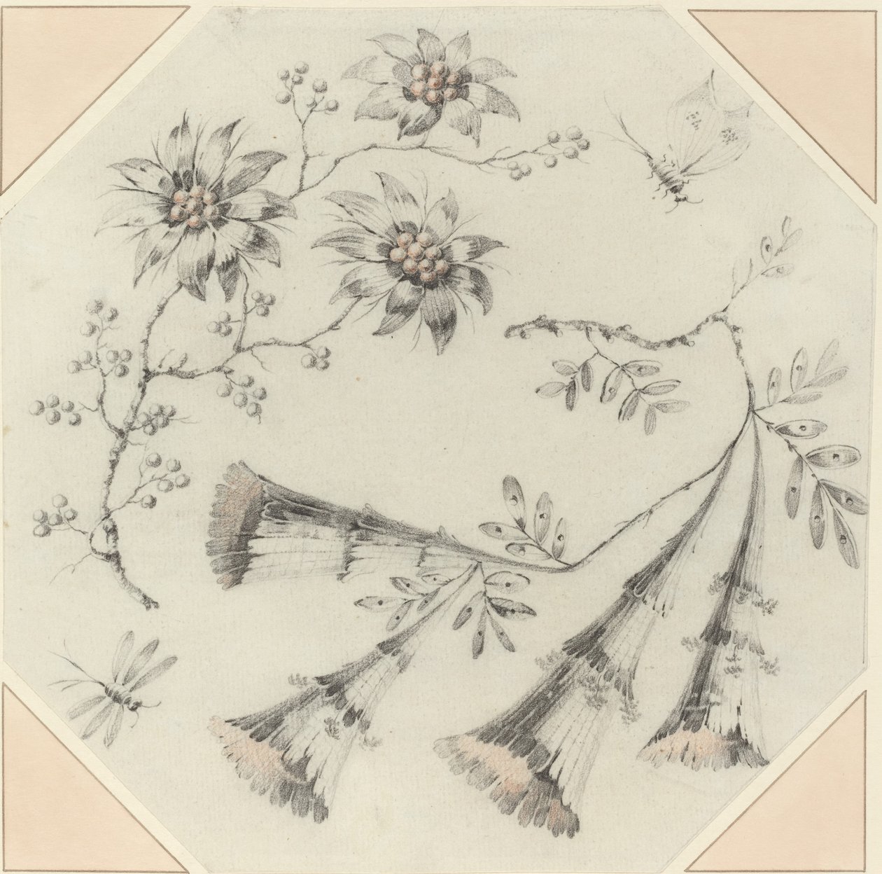 Flores e margaridas da trombeta de Jean Baptiste Pillement