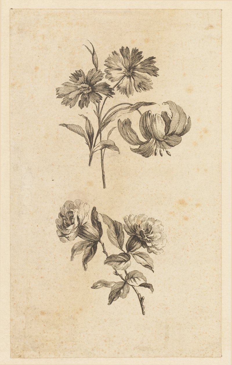 Dois ramos de flores de Jean Baptiste Pillement