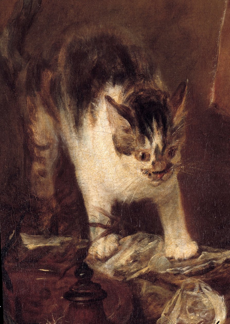 A natureza morta patina de peixe, ostras, jarro. Detalhe de gato. Pintura de Jean Baptiste Simeon Chardin (1699-1779) 1727 Sol. 1,14 x 1,46 m Paris. Museu do Louvre de Jean Baptiste Simeon Chardin