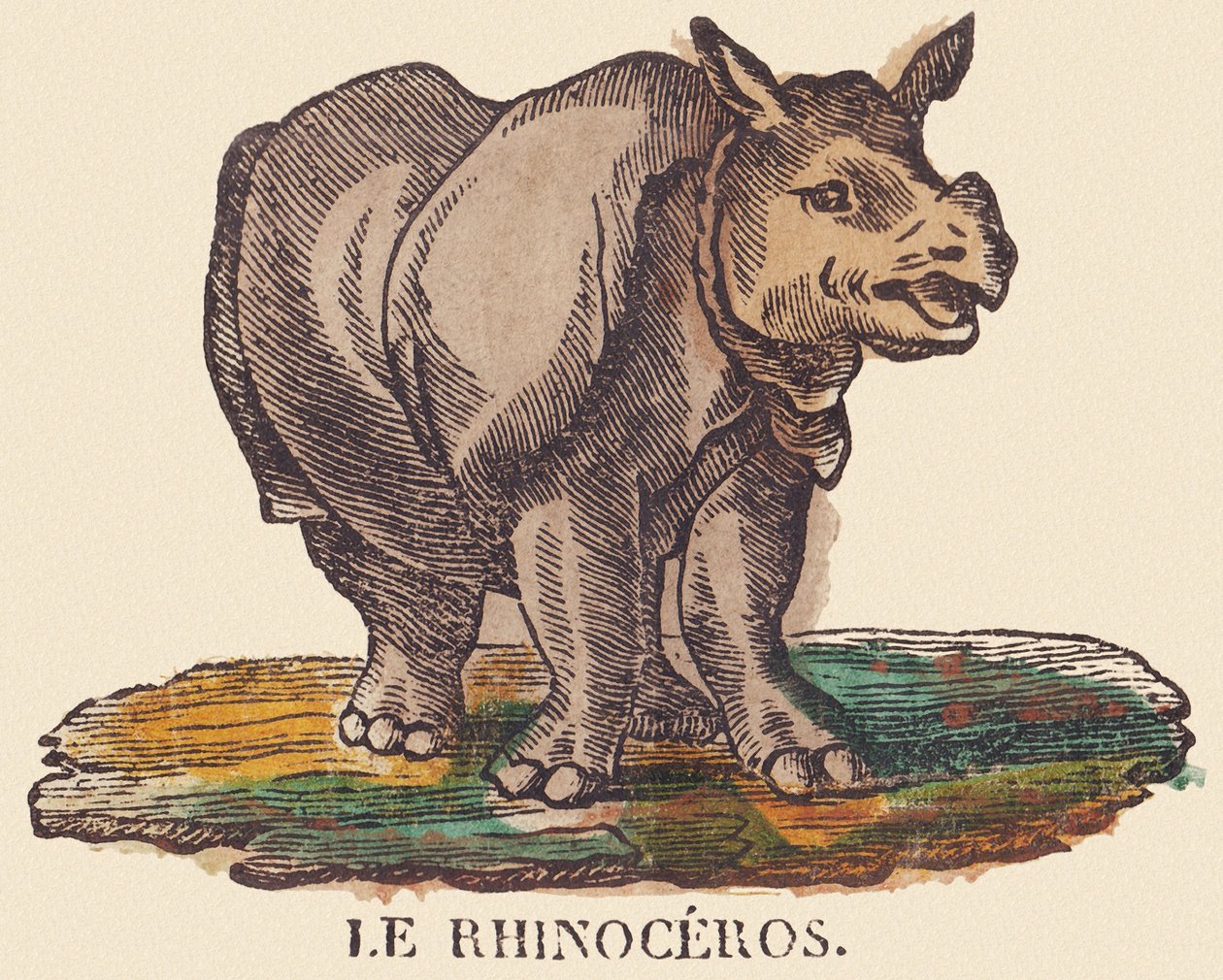 O rinoceronte, c.1840-1852 (litografia) de Jean Baptiste Thiebault