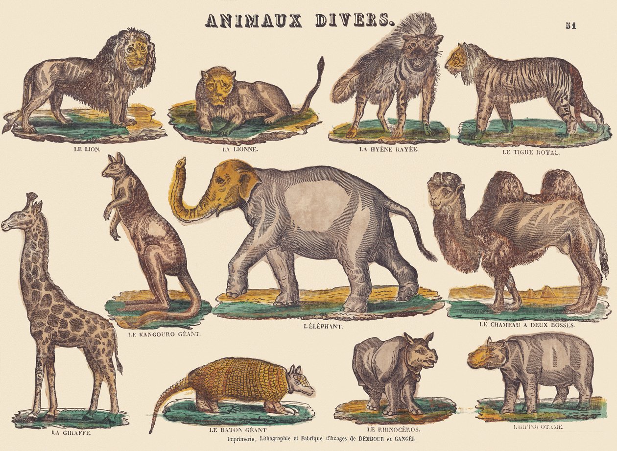 Vários animais, c.1840-1852 (litografia) de Jean Baptiste Thiebault