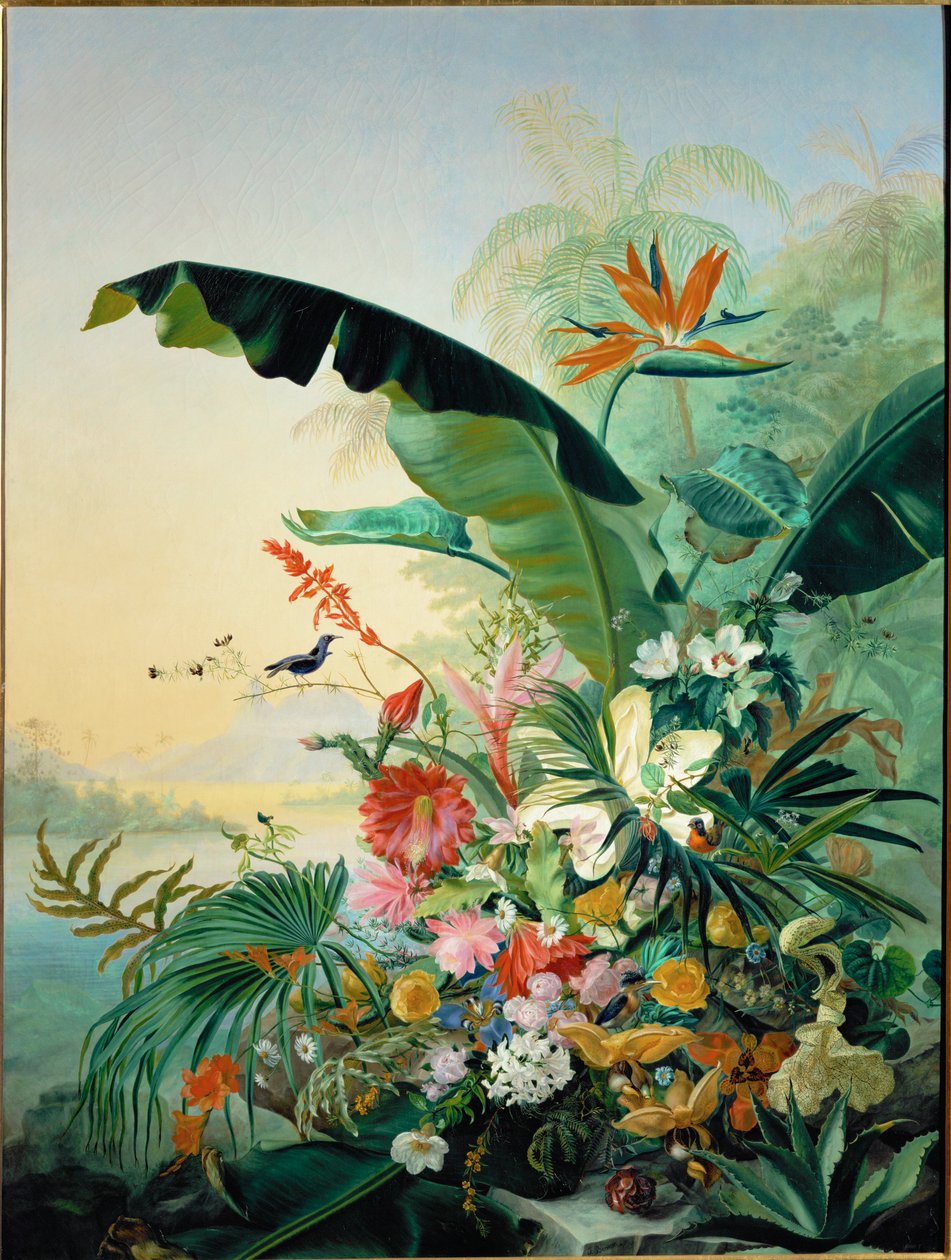 Flores exóticas (pintura sobre tela) de Jean Benner-Fries