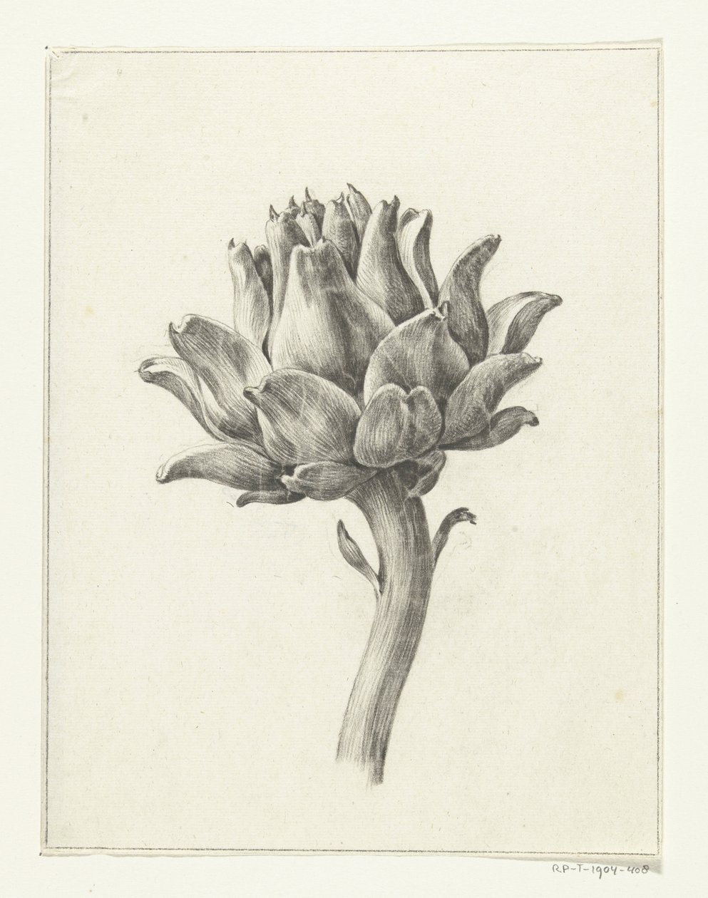 Artisjok de Jean Bernard