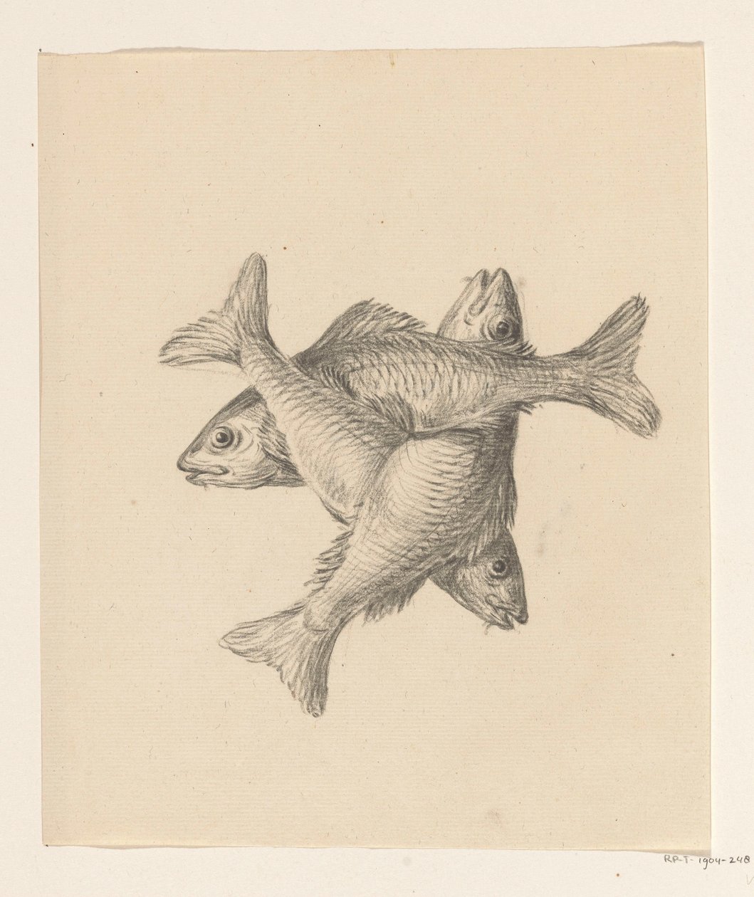 Três peixes dispostos transversalmente de Jean Bernard