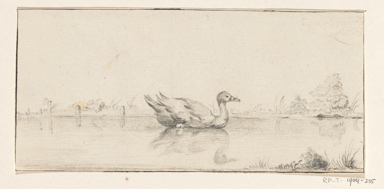Pato na água de Jean Bernard