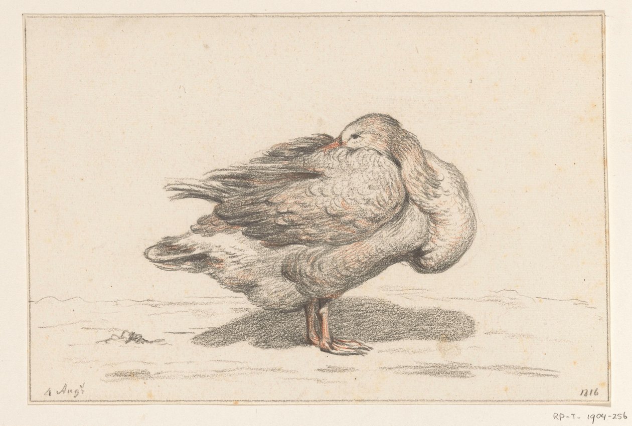 Gans de Jean Bernard