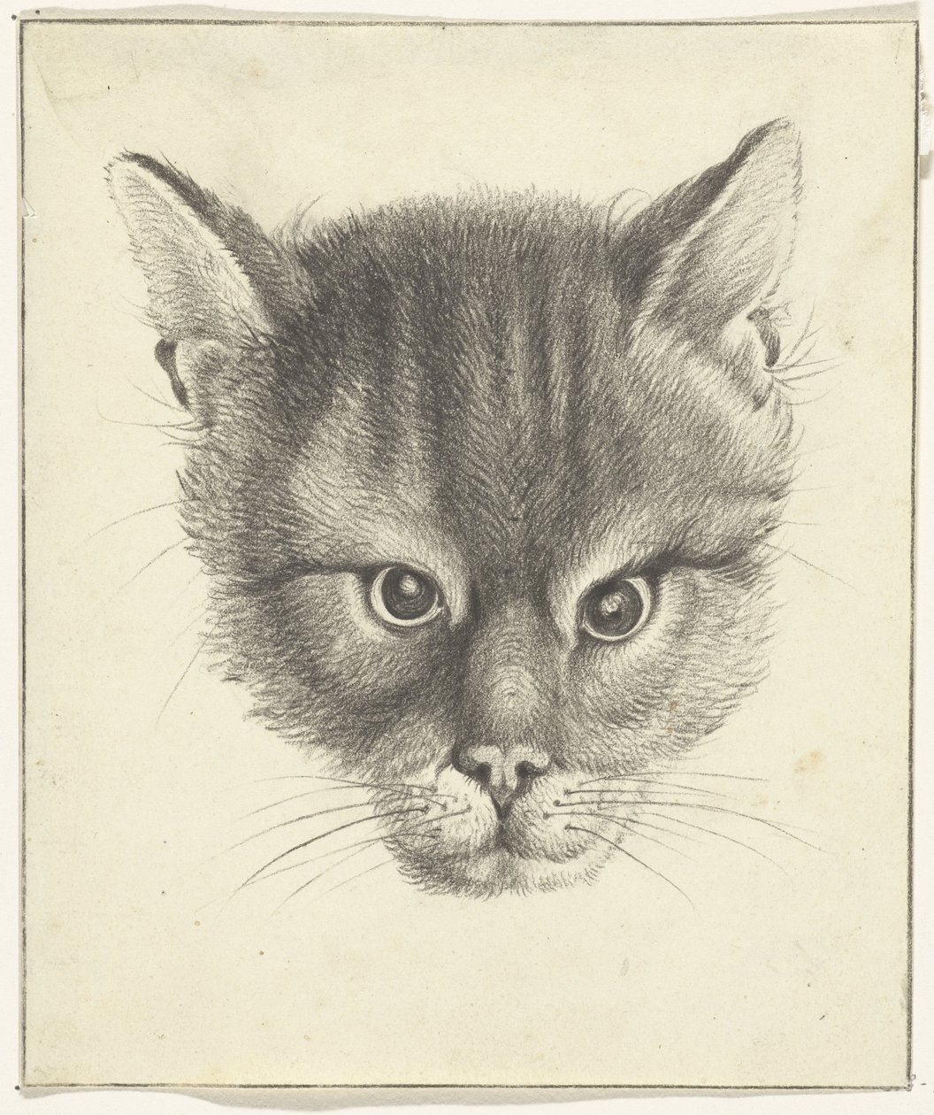Cabeça de gato, de frente de Jean Bernard