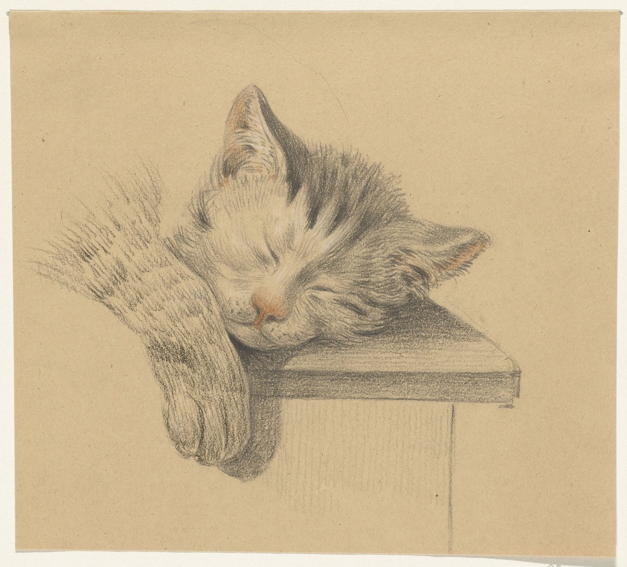 Cabeça e pata de um gato adormecido de Jean Bernard