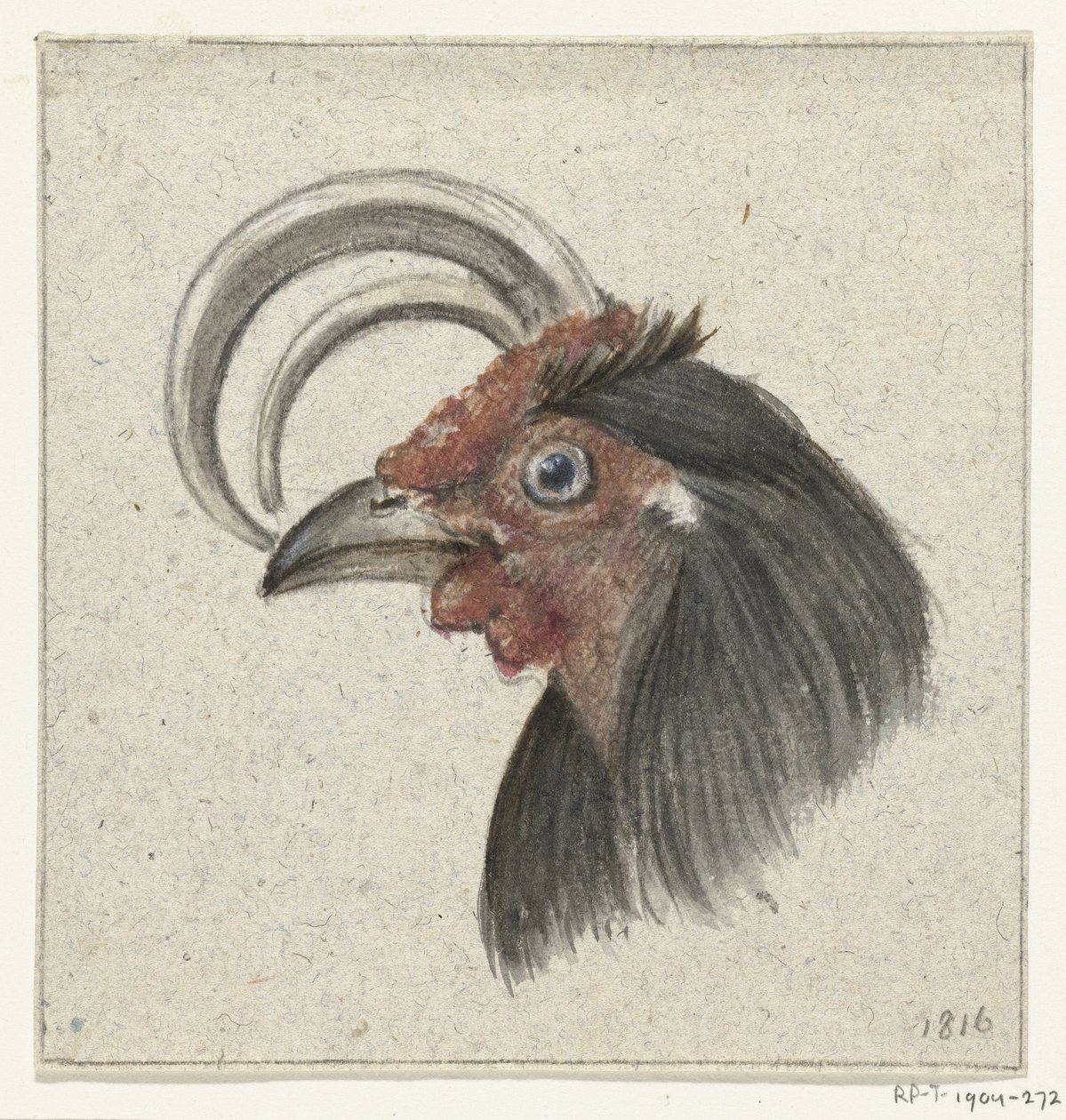 Cabeça de um galo de Jean Bernard