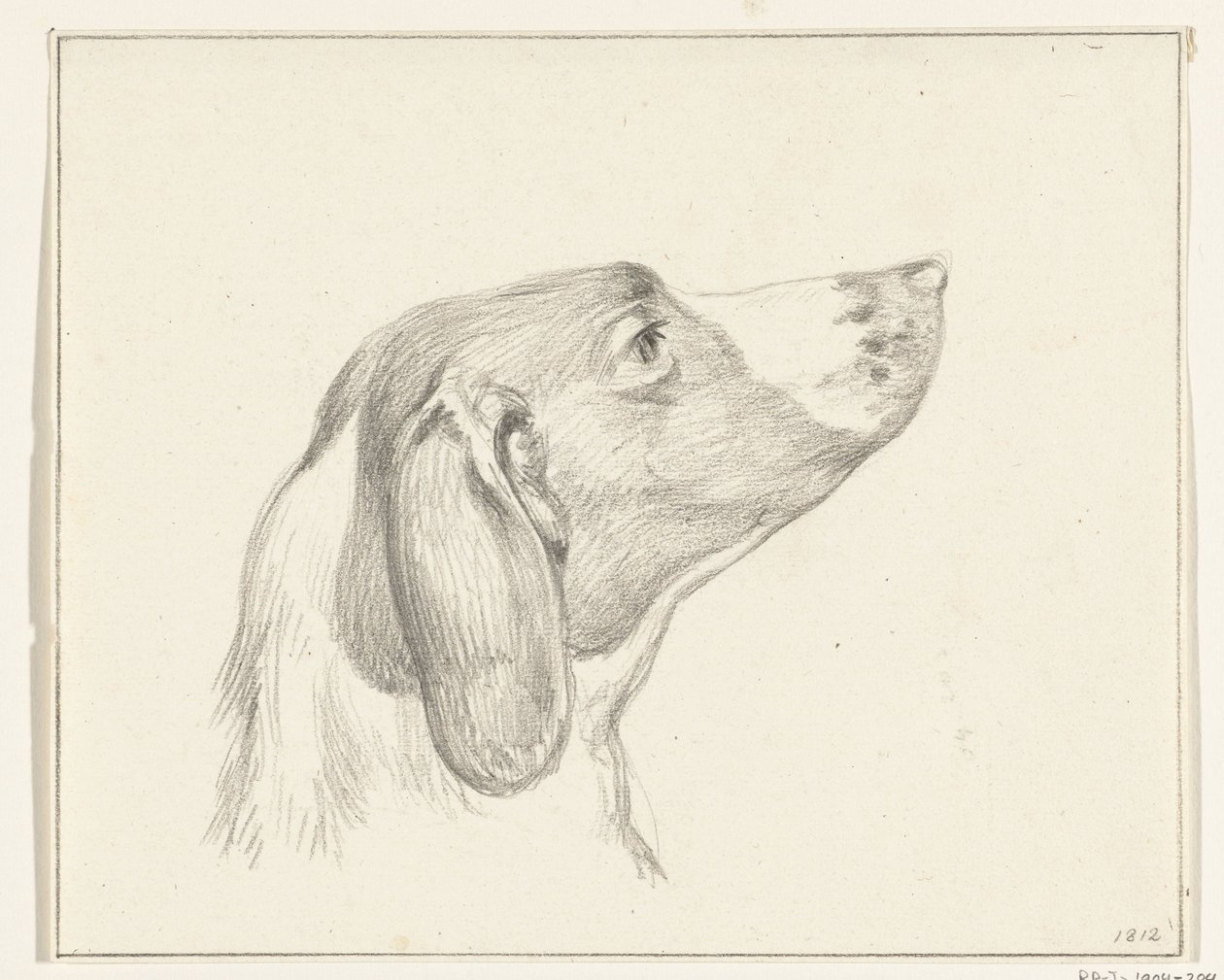 Cabeça de um cão, à direita de Jean Bernard