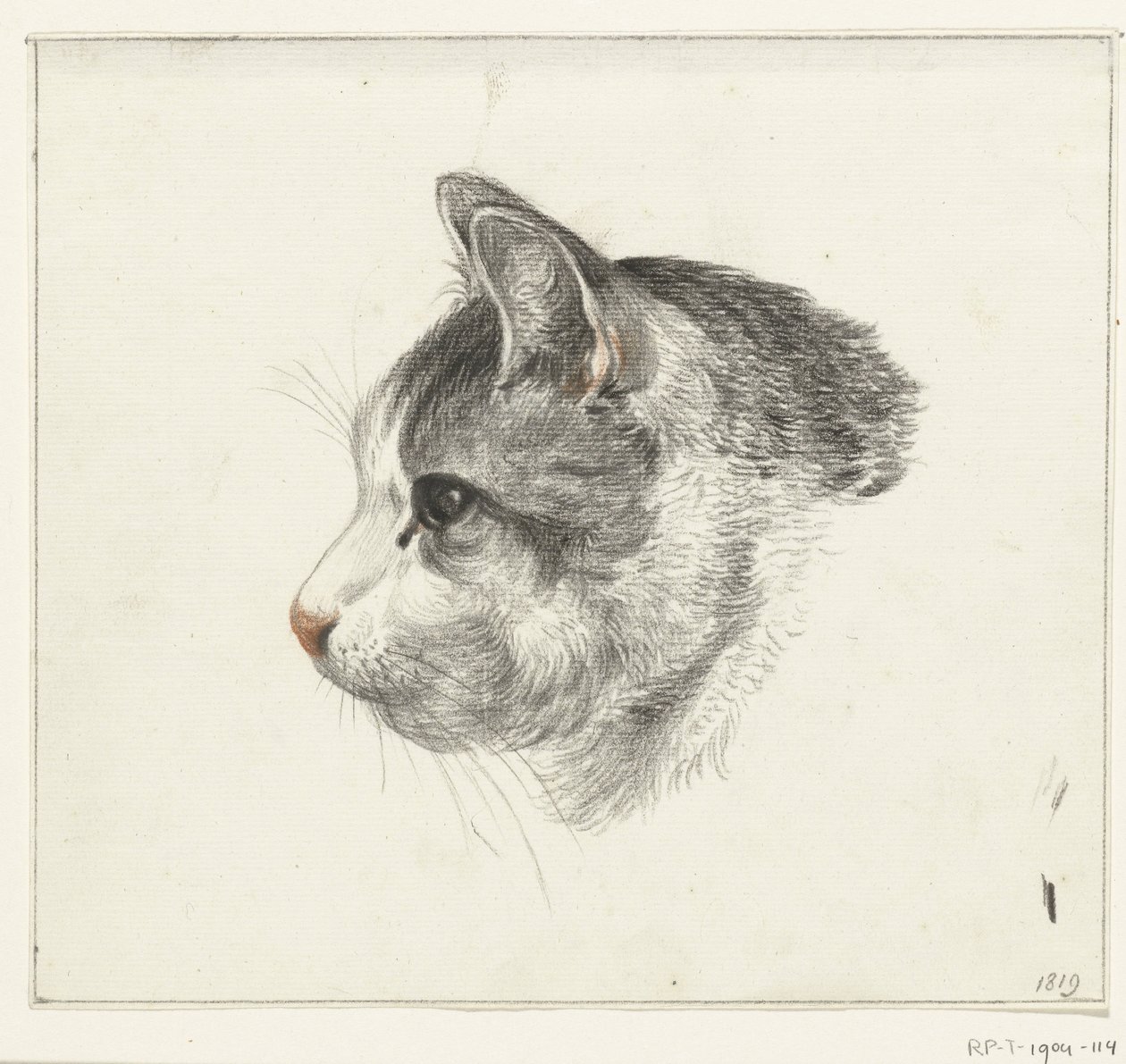 Cabeça de um gato, à esquerda de Jean Bernard