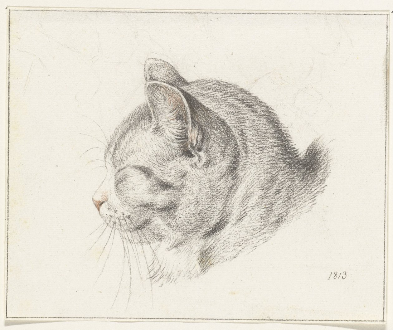 Cabeça de um gato, à esquerda de Jean Bernard