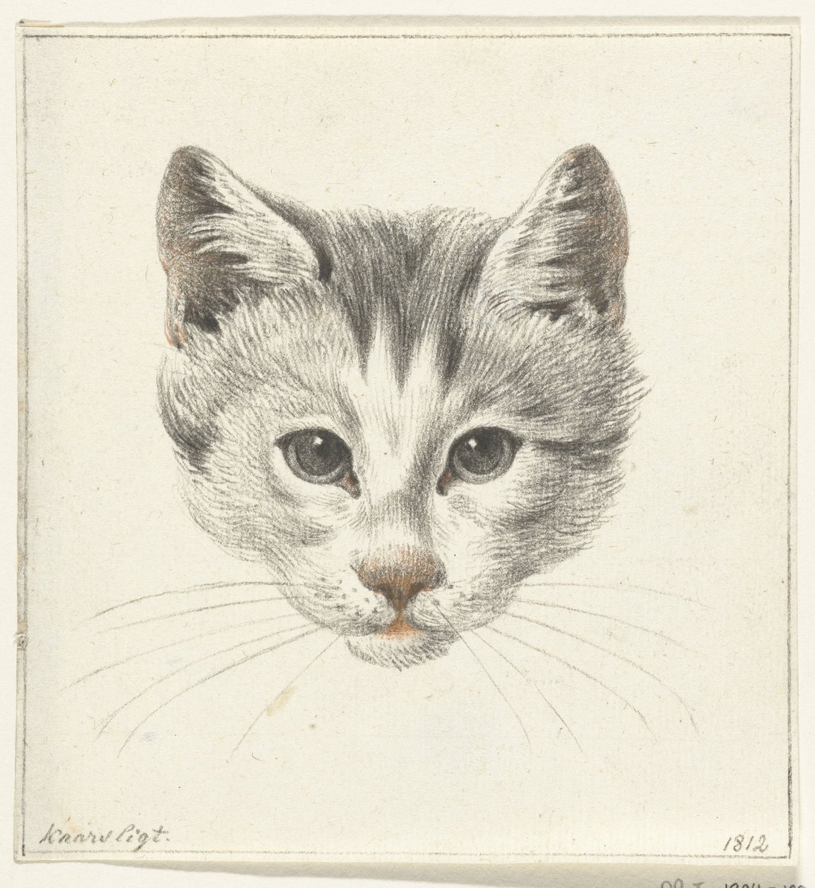 Cabeça de um gato, vista de frente à luz das velas de Jean Bernard