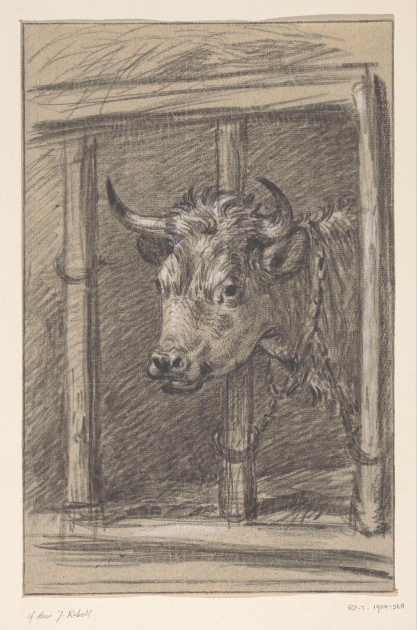 Cabeça de vaca, pelas grades de um estábulo de Jean Bernard