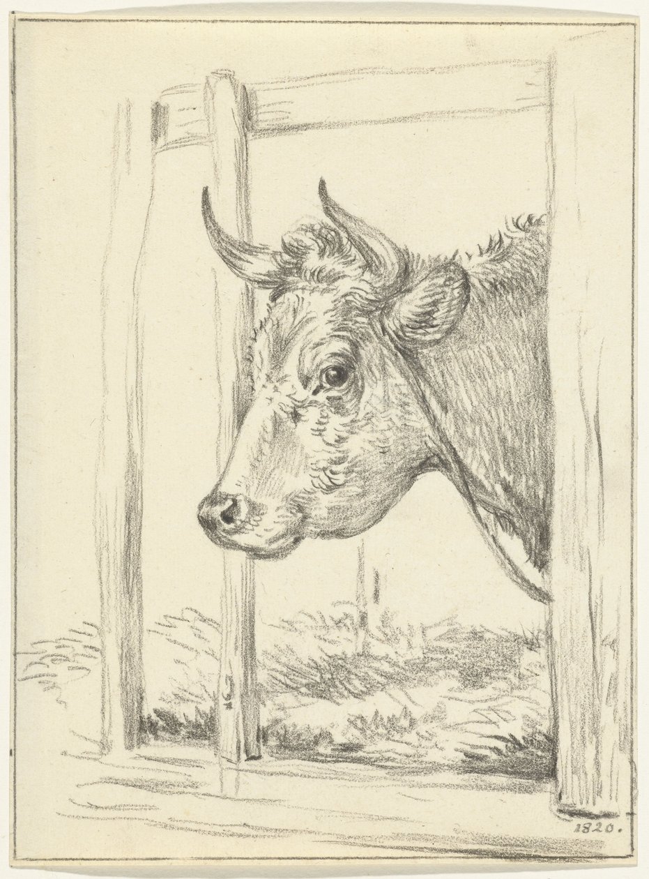 Cabeça de vaca, em um estábulo, à esquerda de Jean Bernard