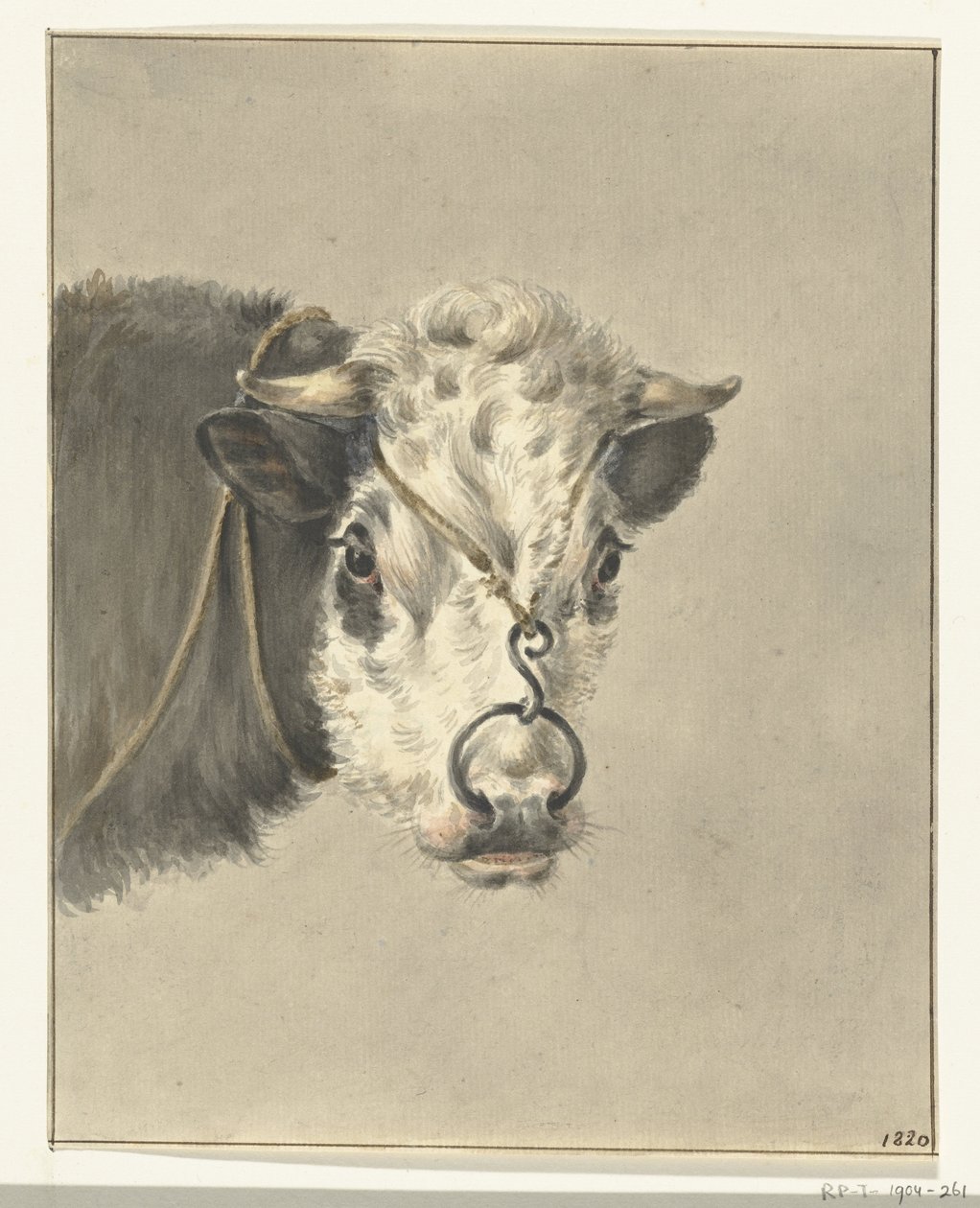 Cabeça de vaca, com um anel no nariz, de frente de Jean Bernard