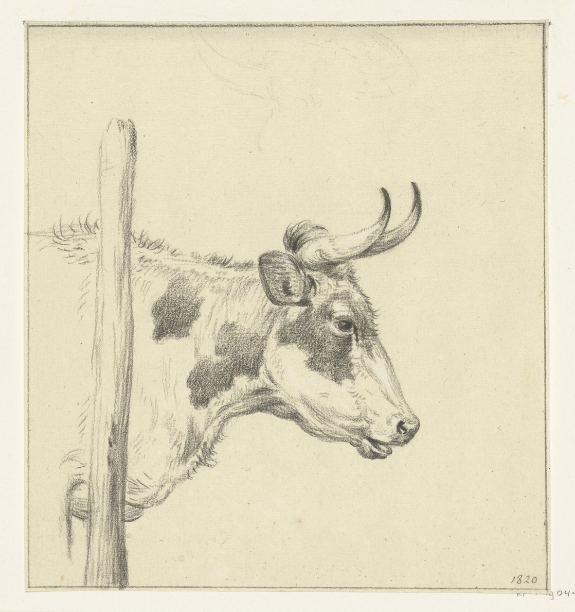 Cabeça de vaca, à direita de Jean Bernard