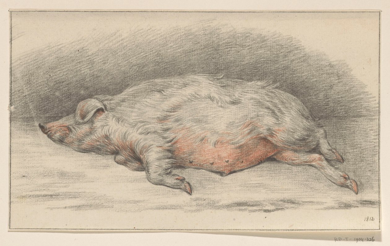 Porco deitado, à esquerda de Jean Bernard