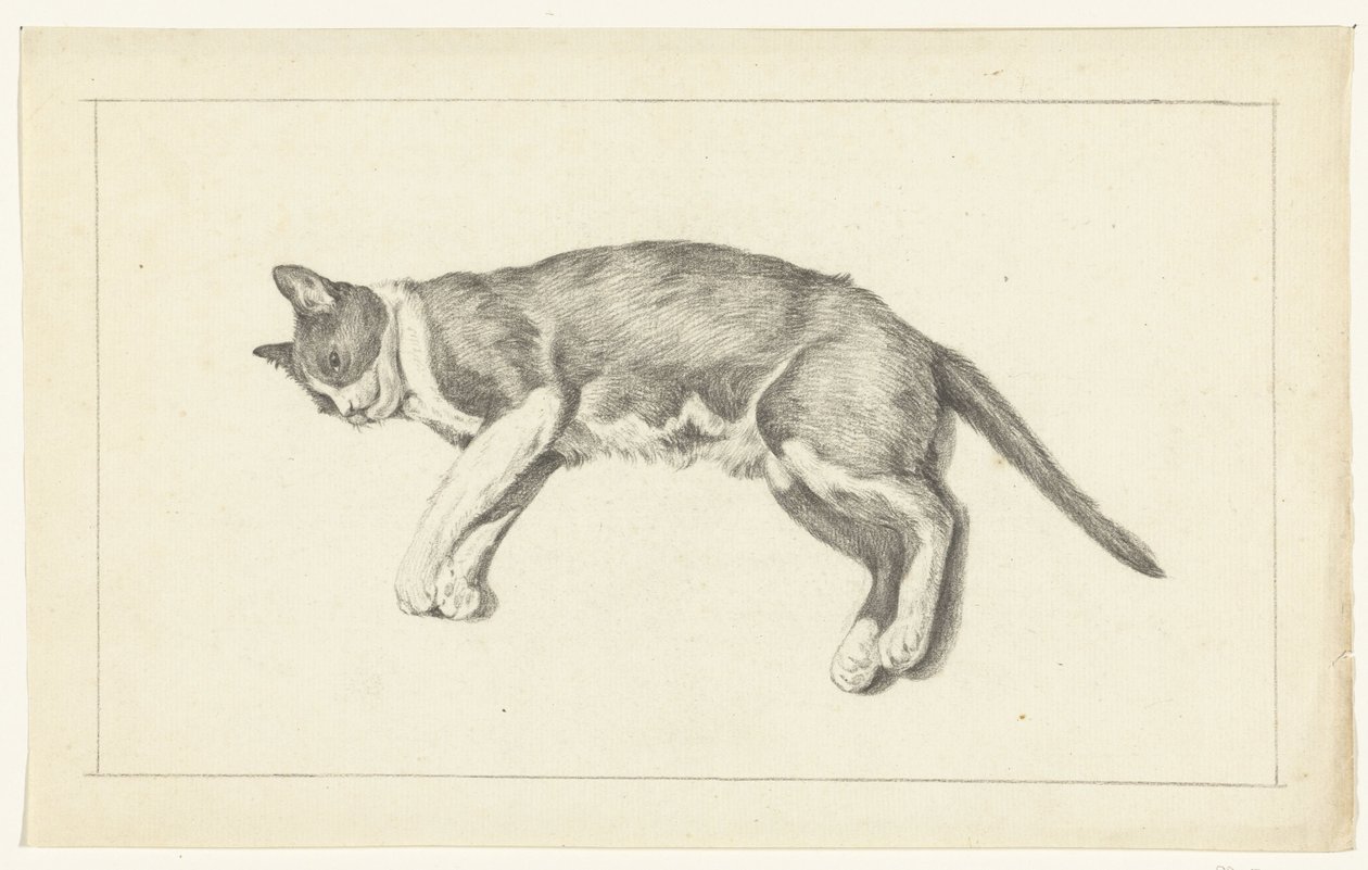 Gato deitado, à esquerda, visto de cima de Jean Bernard