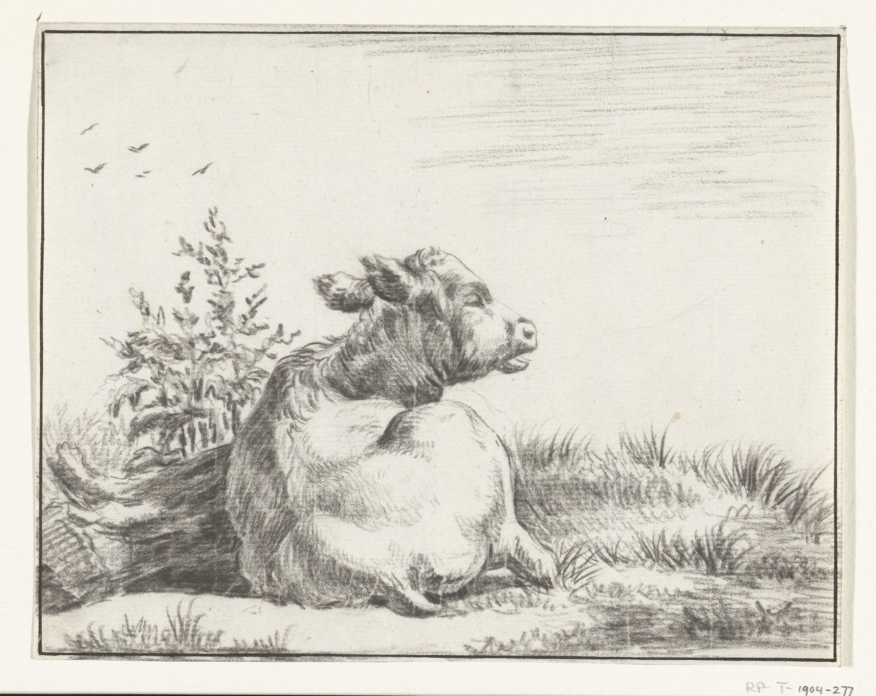 Vaca reclinada, por trás de Jean Bernard
