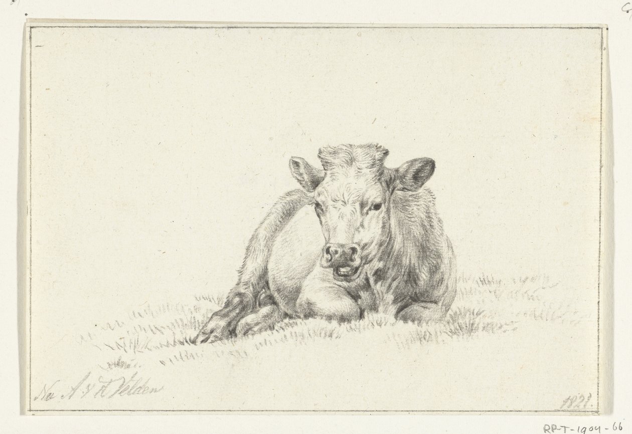 Vaca reclinada, de frente de Jean Bernard