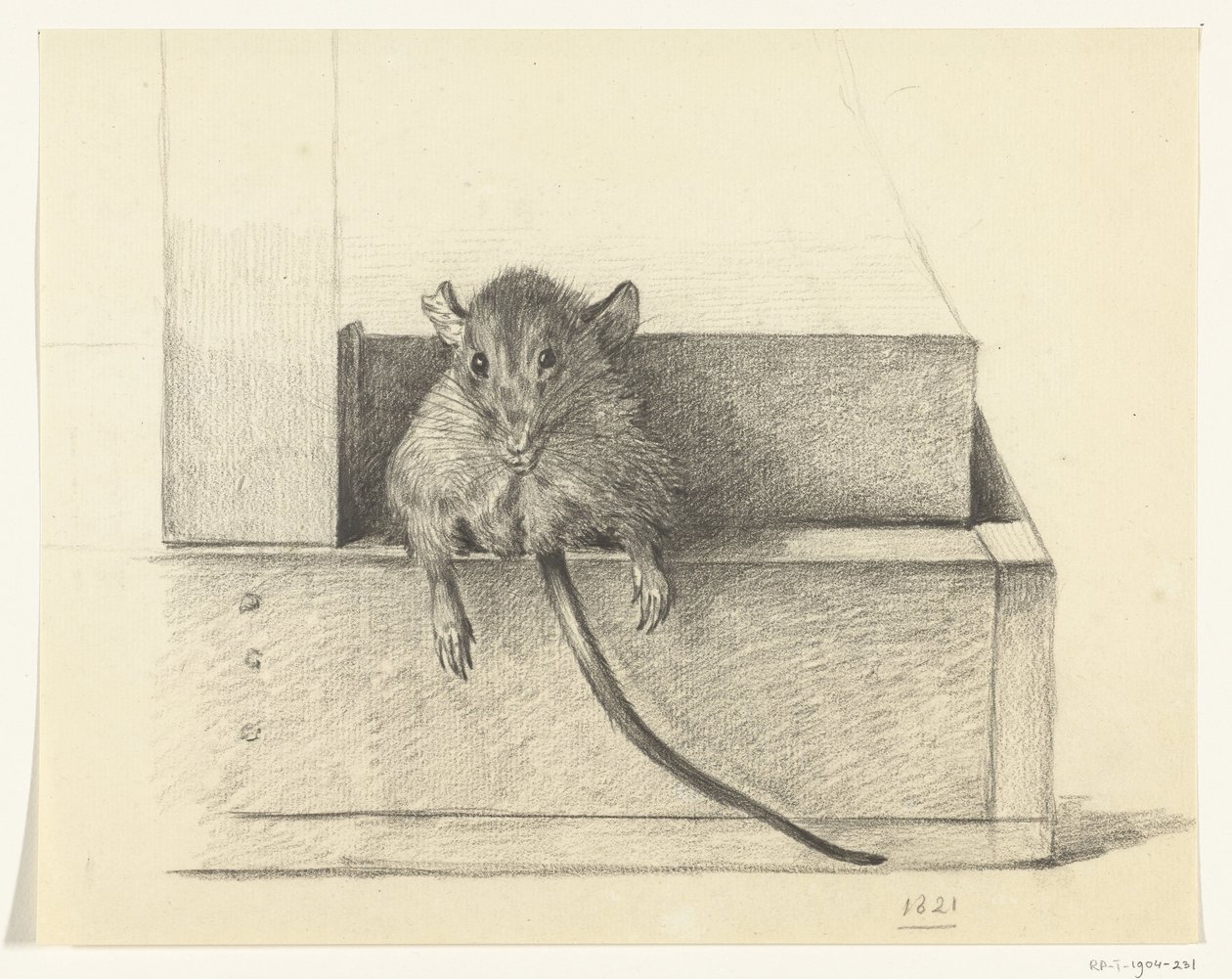 Rato (numa armadilha?) de Jean Bernard