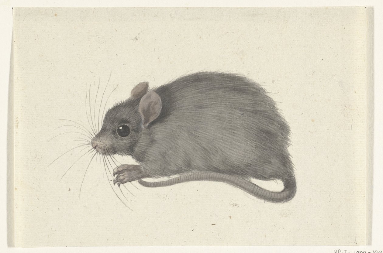 Rato, à esquerda de Jean Bernard