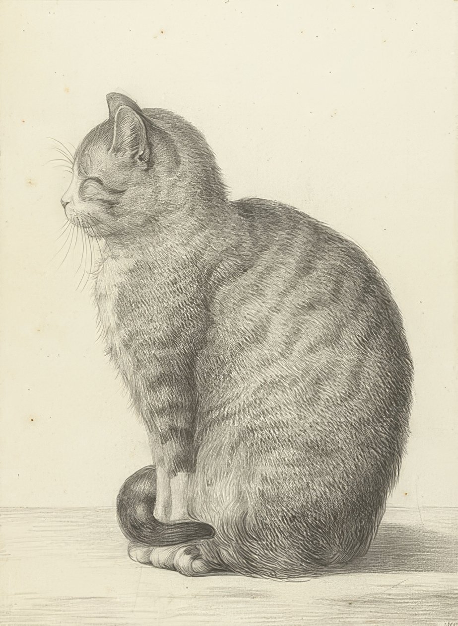 Gato sentado, para a esquerda. 1815 de Jean Bernard