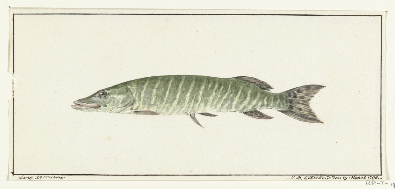 Pike de Jean Bernard
