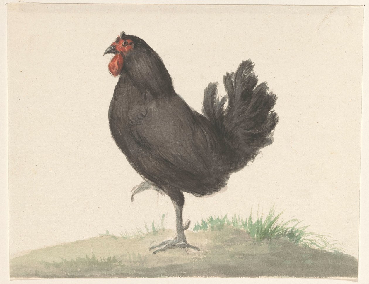 galinha preta em pé de Jean Bernard