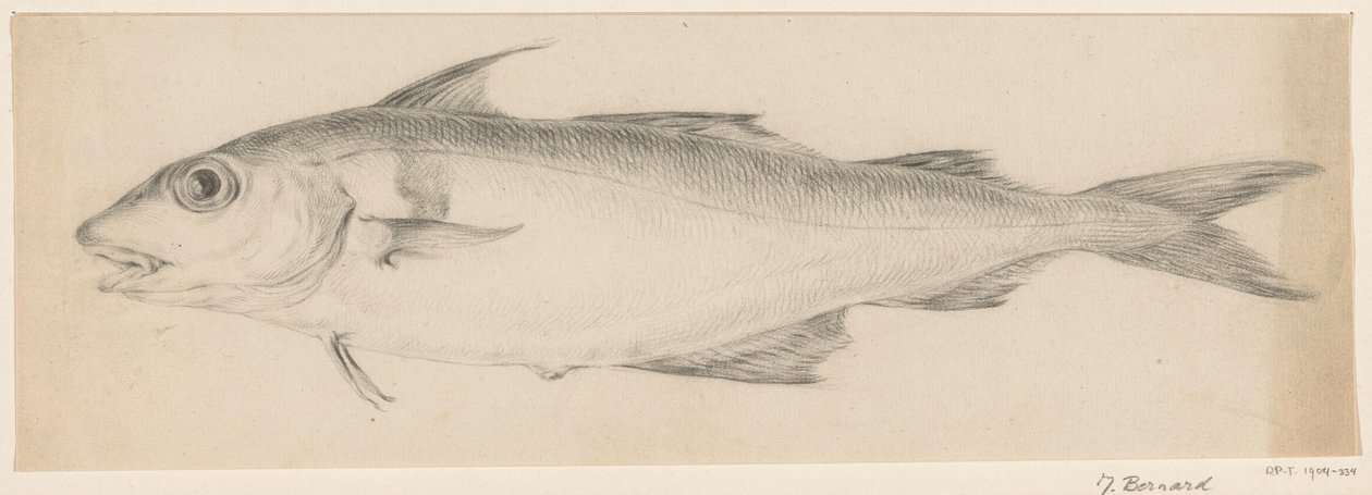 Peixe, à esquerda de Jean Bernard