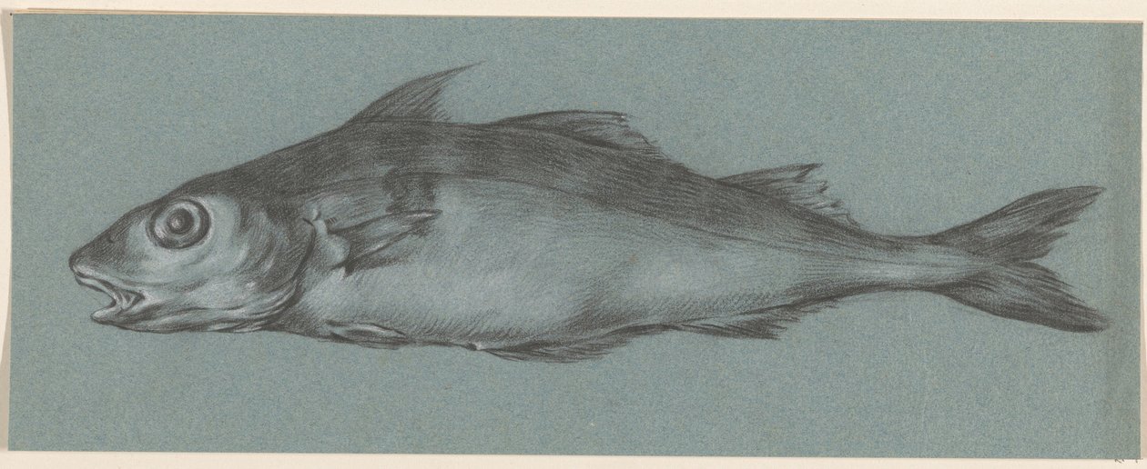Peixes, à esquerda de Jean Bernard