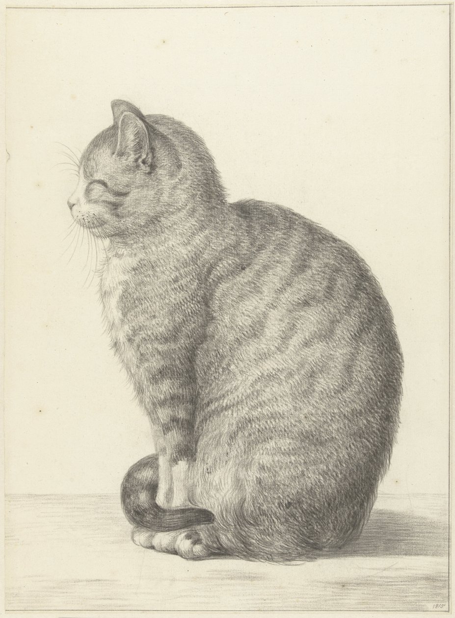 Gato sentado, virado para a esquerda de Jean Bernard