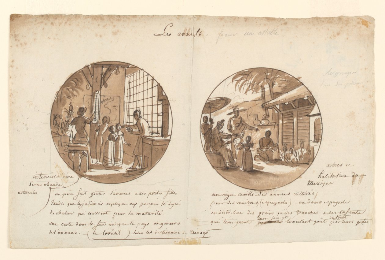 Desenhos para Pratos de Porcelana Pintados, Les Ananas (Abacaxi) do Service des Objets de Dessert (Serviço de Sobremesa) de Jean Charles Develly