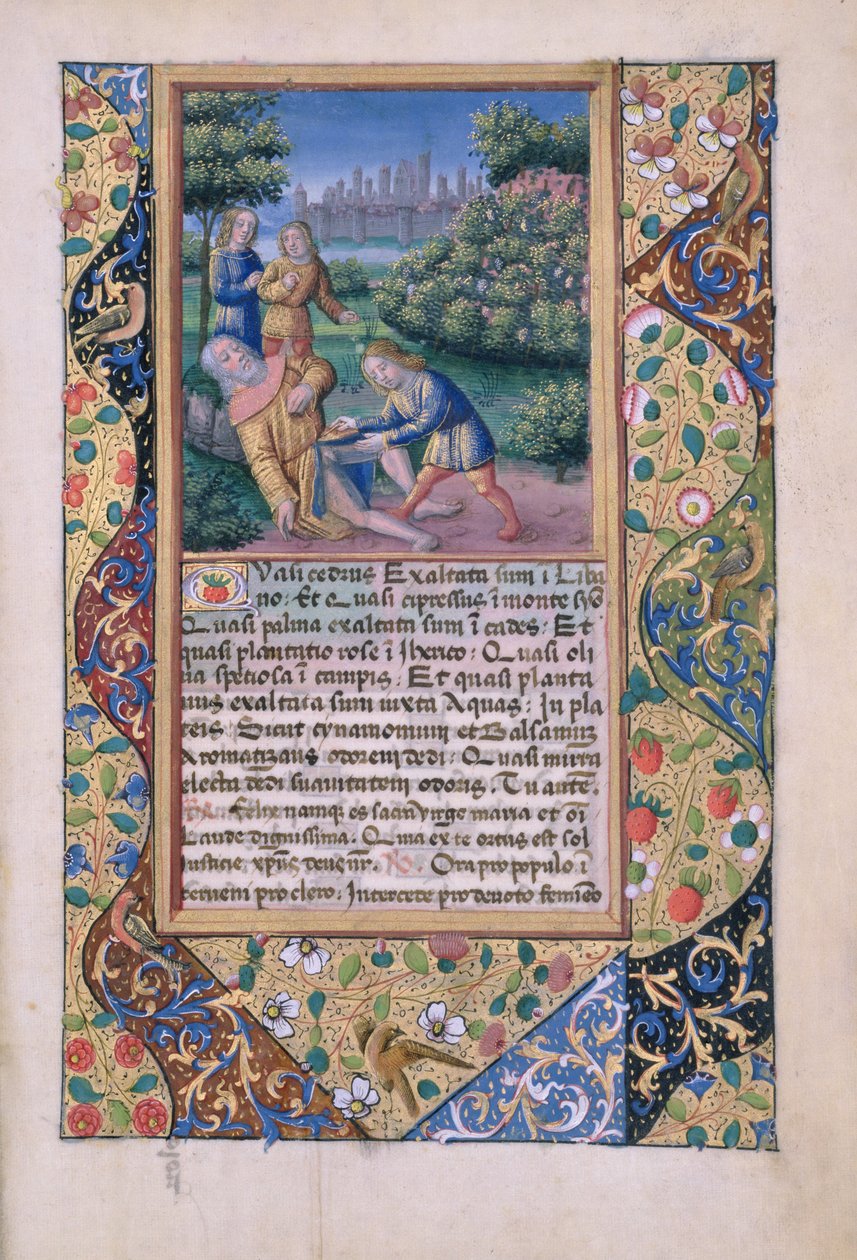 Senhora Lat. QVI126 fol.17 A embriaguez de Noé, do Livro de Horas de Louis d&39;Orleans, 1490 de Jean Colombe