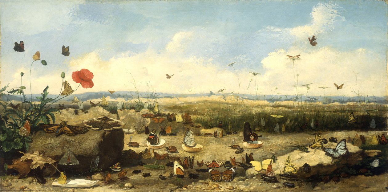 A raça das borboletas, 1872 de Jean Eugene Doneaud