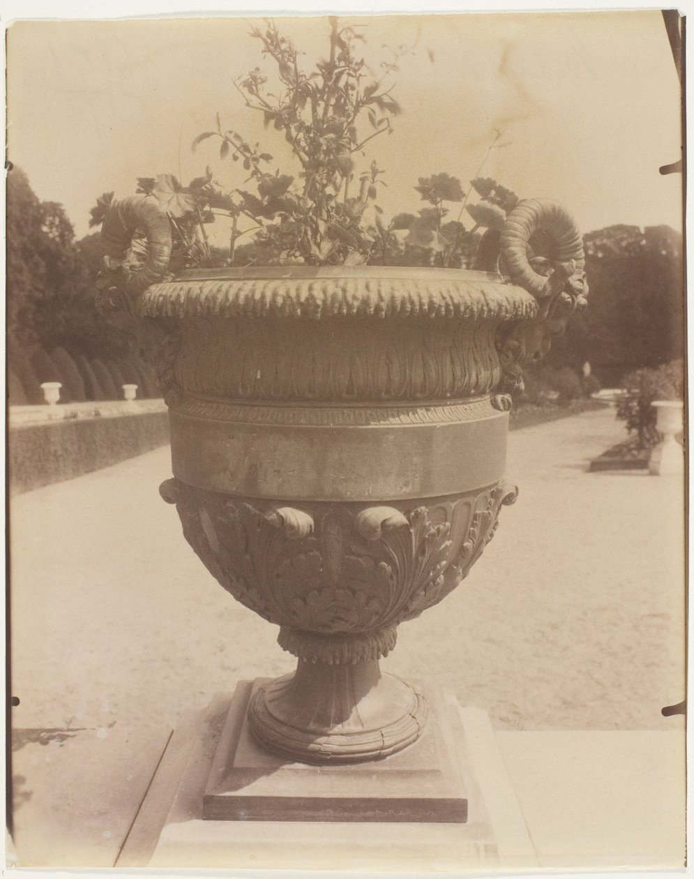 Versailles, Jarra de Ballin de Jean Eugène Auguste Atget