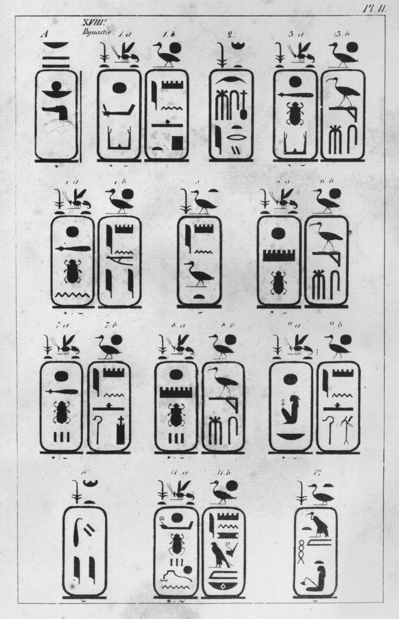 Carta dirigida ao embaixador francês Pierre de Blacas dAulps sobre o museu real de arte egípcia em Turim, Cópia de cartelas reais da XVIII dinastia (carta 1, 1) 1824 (caneta e tinta sobre de Jean Francois Champollion