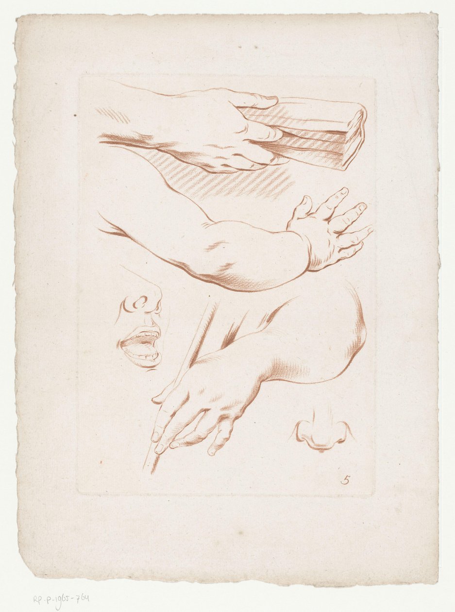 Composição com braços, nariz e parte de um rosto Composições com partes do corpo humano (título da série) de Jean Francois Janinet