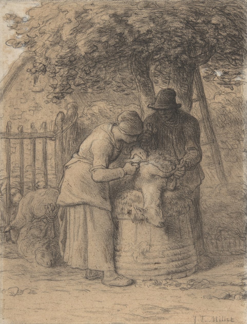 Sheepshearing debaixo de uma árvore, c.1854 (conté crayon com caneta e tinta marrom e guache sobre papel) de Jean Francois Millet