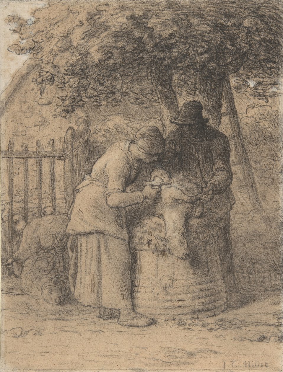 Sheepshearing Beneath a Tree, ca. 1854. de Jean Francois Millet