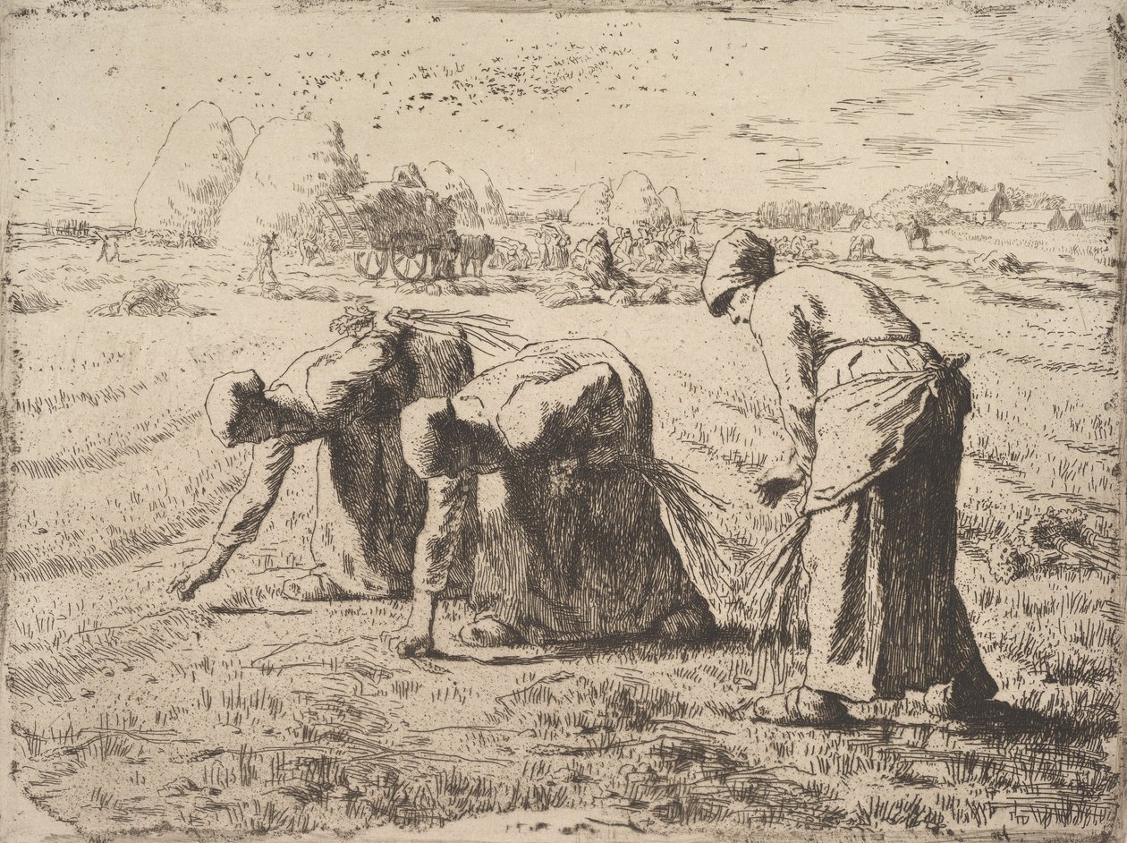 The Gleaners, c.1855-56 (gravura em chine collé) de Jean Francois Millet