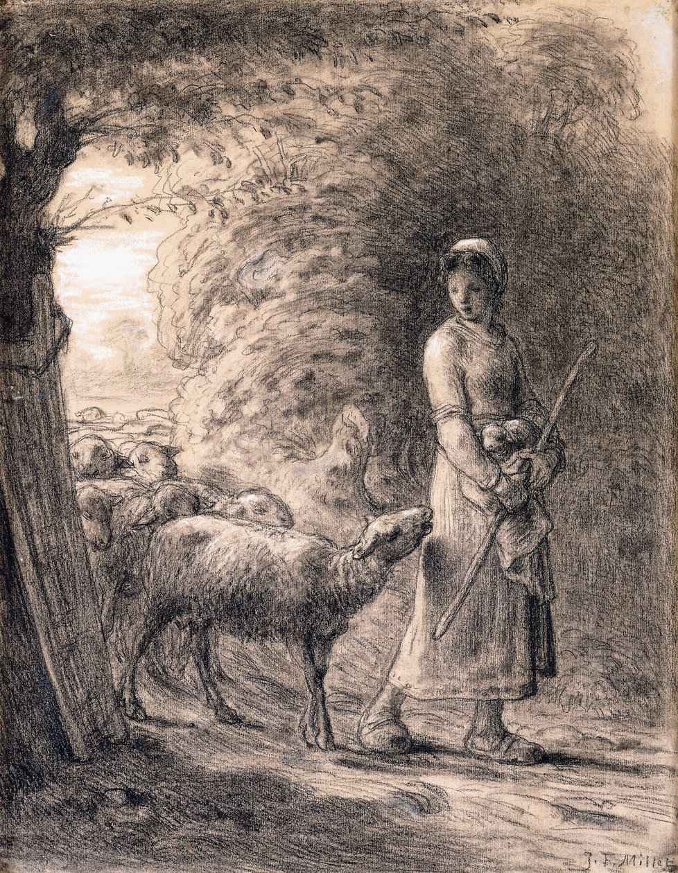 O Cordeiro Recém-nascido, c.1860 de Jean Francois Millet