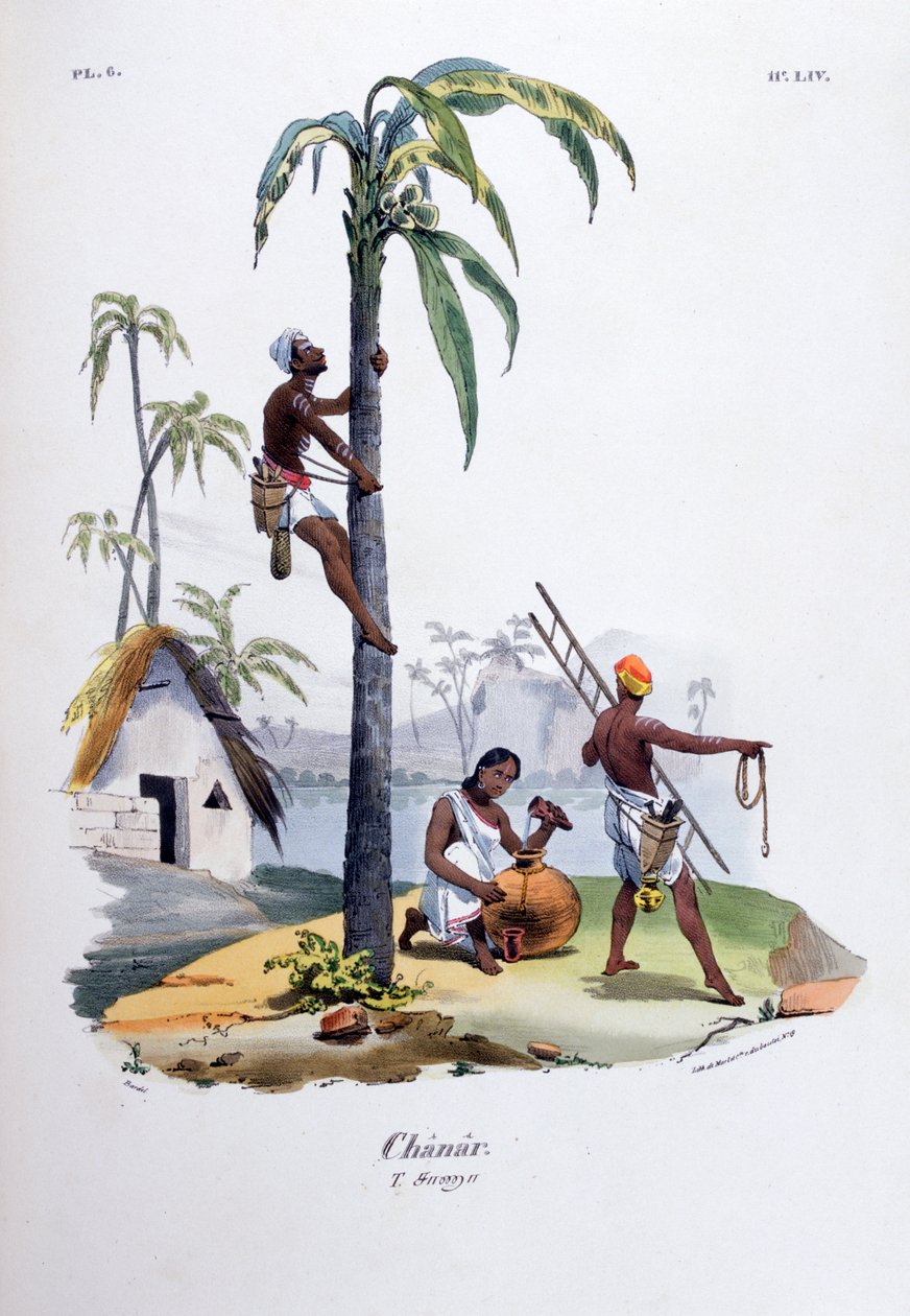 Chanar, 1828 de Jean Henri Marlet