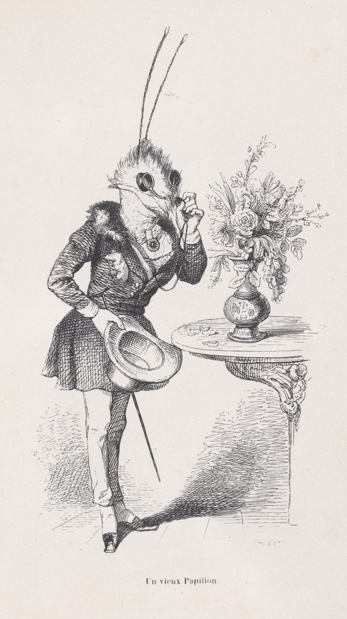 Uma Borboleta Velha de Cenas da Vida Privada e Pública dos Animais, c. 1837-47. de Jean Ignace Isidore Gérard