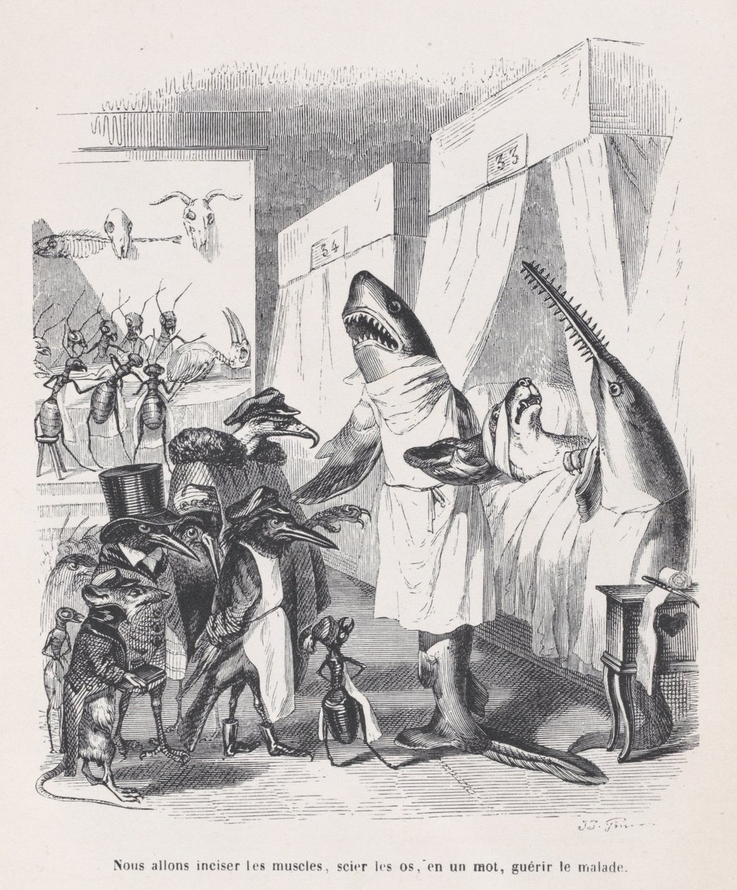 Vamos incisar os músculos, ver os ossos, em uma palavra, curar os doentes de Sc..., ca. 1837-47. de Jean Ignace Isidore Gérard