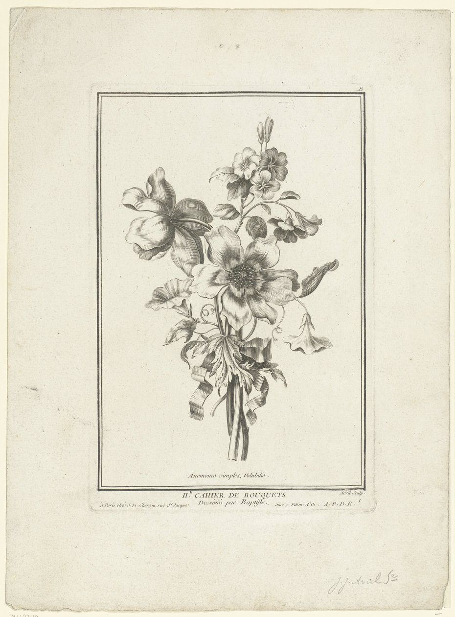 Buquê de anêmona e trepadeira Anêmonas simples, Volubilis (título no objeto) IIe Cahier de Bouquets (título da série) de Jean Jacques Avril (I)