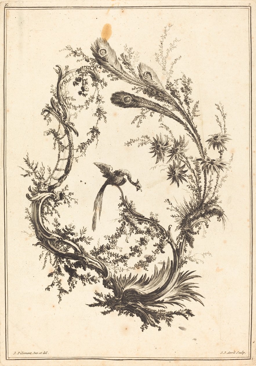 Ornamento com um pavão. de Jean Jacques Avril