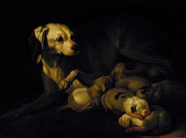 A cadela amamentando seus filhotes de cachorro, detalhe após um original por Jean-Baptiste Oudry, 1755 de Jean Jacques Bachelier